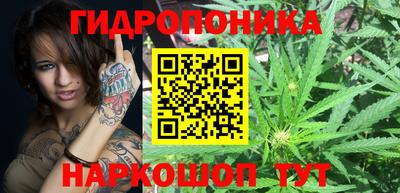 гидра Комсомольск-на-Амуре